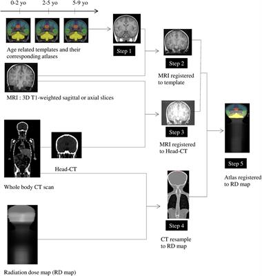 Relationships between Regional Radiation Doses and Cognitive Decline in Children Treated with Cranio-Spinal Irradiation for Posterior Fossa Tumors